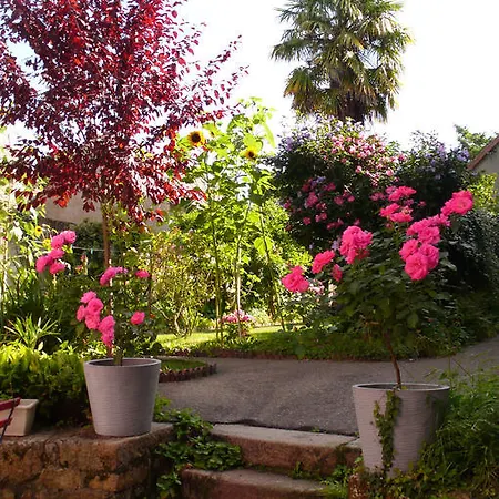 Bed and breakfast Mons