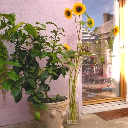 Oda ve Kahvaltı Mons