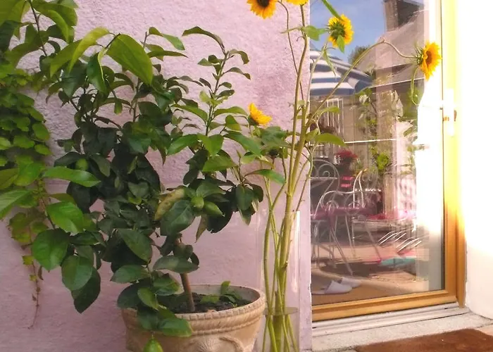 לינה וארוחת בוקר Mons